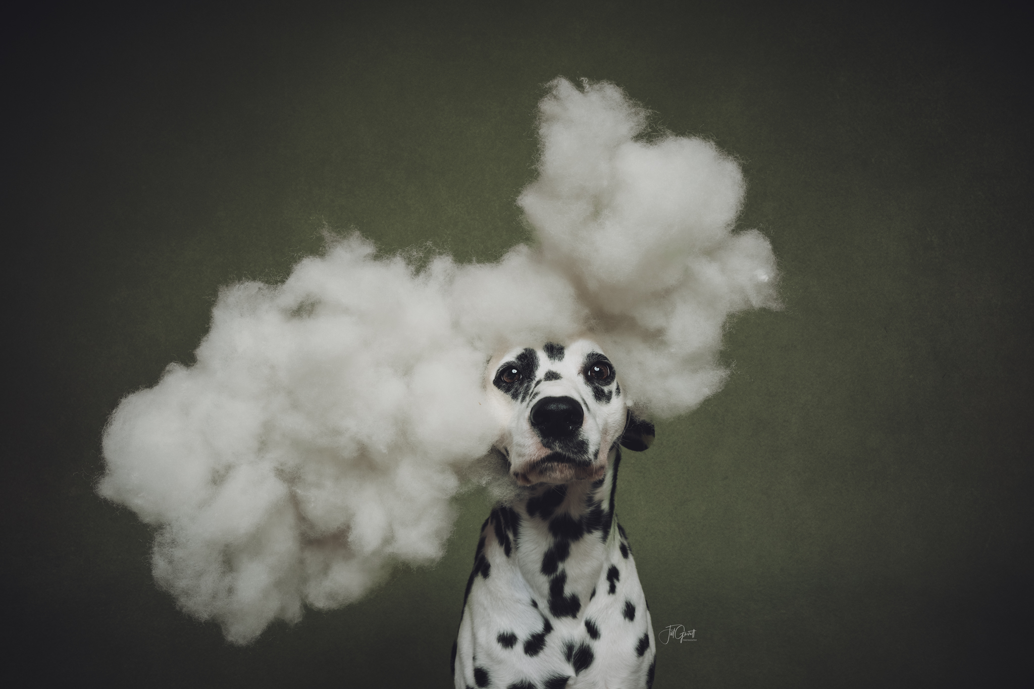 Head in the Clouds